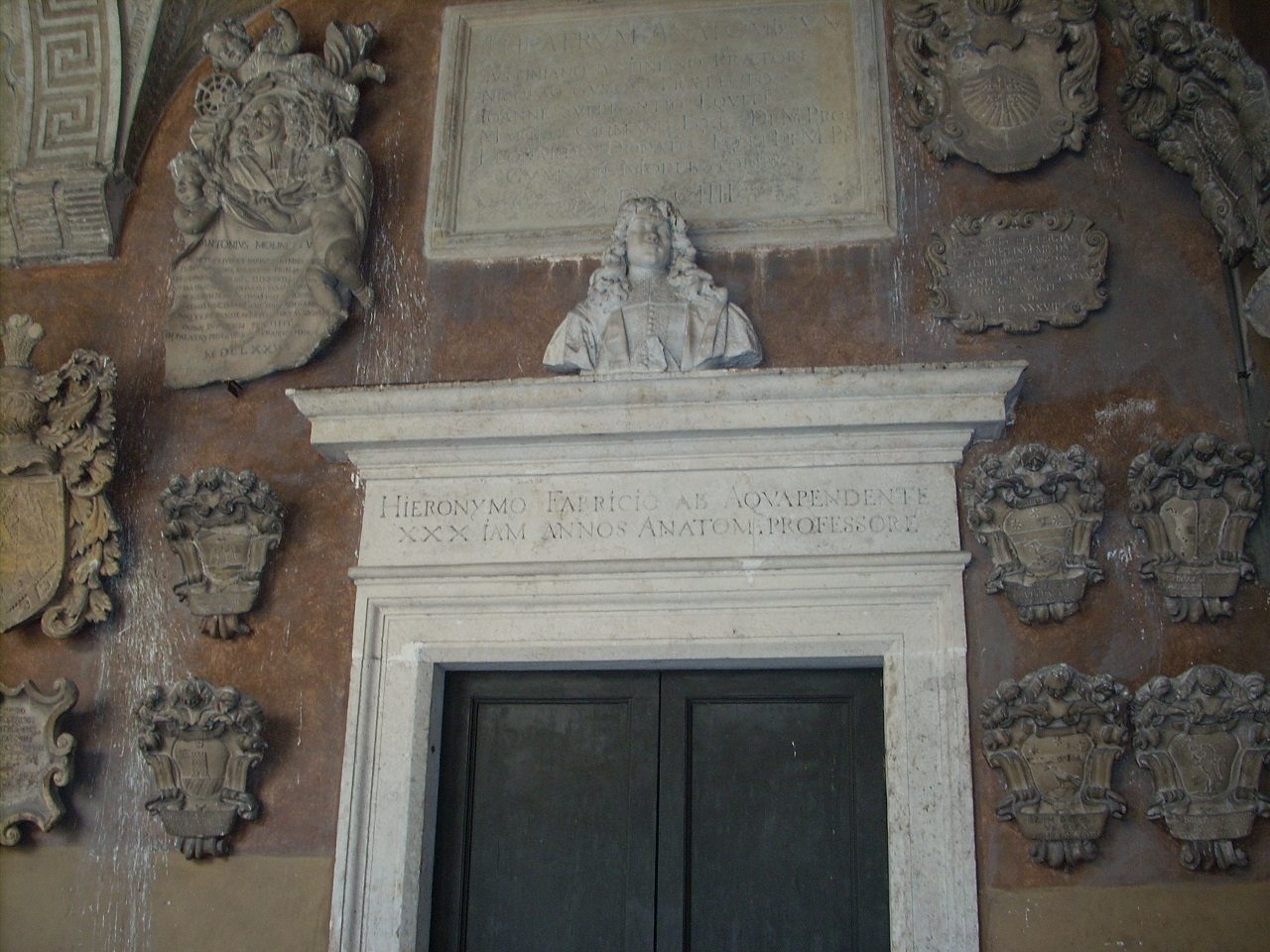 Anatomical theatre entrance, Palazzo Bo, Padua (5).JPG